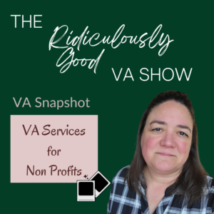 Virtual Assistant Services for Non Profits and Associations